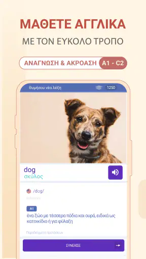 Μάθετε Αγγλικά Με το Leksi screenshot