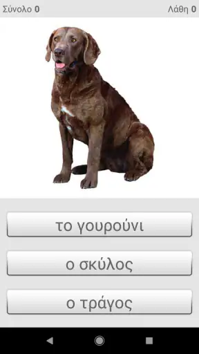 Μάθετε ελληνικές λέξεις με ST screenshot