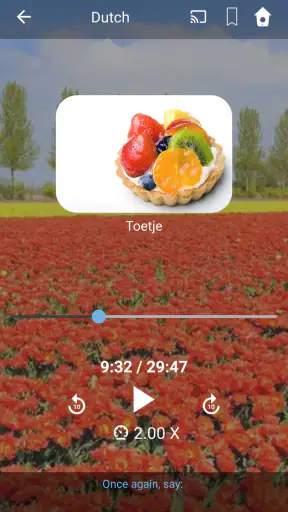 Μάθετε τα Ολλανδικά στα Ελληνι screenshot