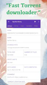 1DM+: Browser & Video Download screenshot