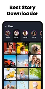All Video Downloader & Player screenshot
