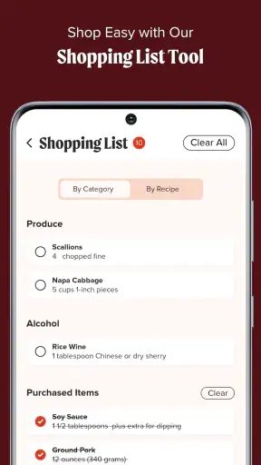 America's Test Kitchen screenshot