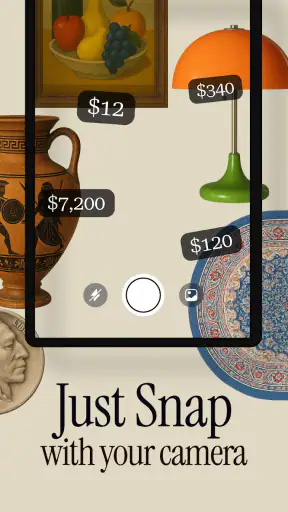 Antique Identifier Zophi screenshot
