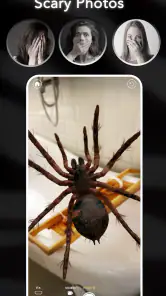 AR Spiders & Co: Scare friends screenshot