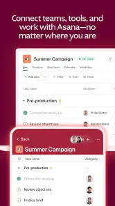 Asana: Where work connects screenshot