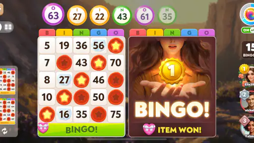 Bingo Diary screenshot