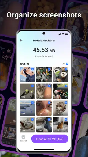 BlazeClean screenshot