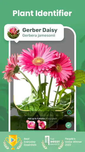 Blossom - Plant Identifier screenshot