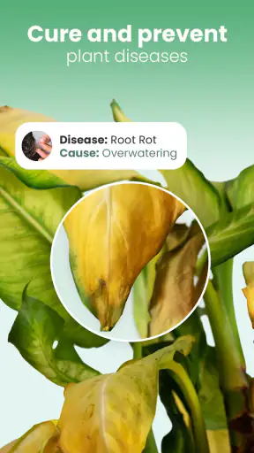 Blossom - Plant Identifier screenshot