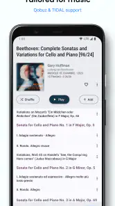BubbleUPnP UPnP/DLNA License screenshot