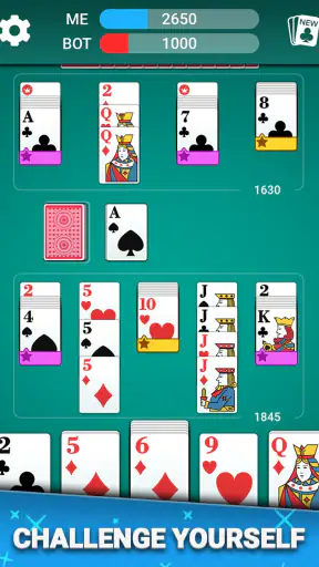 Canasta Card Game screenshot