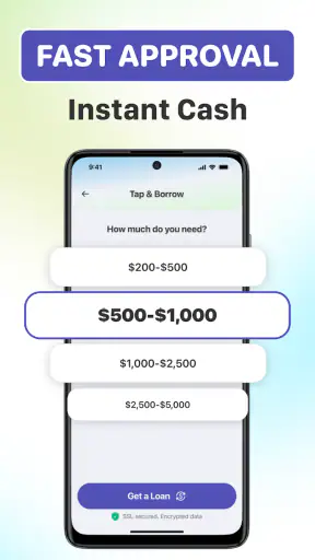 Cash Advance Loan - CREDO screenshot