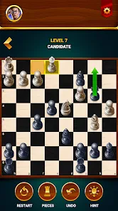 Chess - Offline Board Game screenshot