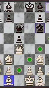Chess Pro screenshot