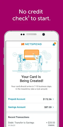 Classic Netspend screenshot