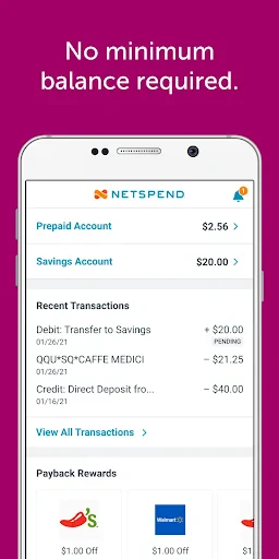 Classic Netspend screenshot