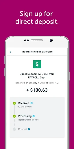 Classic Netspend screenshot
