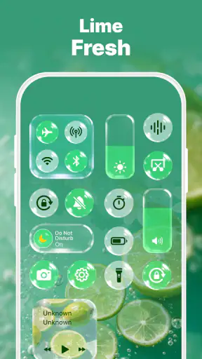 Control Widget: Theme & Panels screenshot
