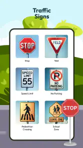 Driving Instructor-Theory Test screenshot