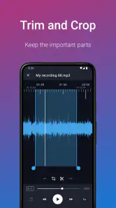 Easy Voice Recorder Pro screenshot