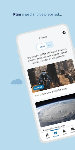 FEMA screenshot