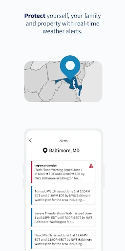 FEMA screenshot