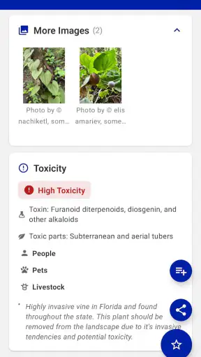 FFL Plants & Pollinators screenshot