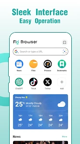 Fly Browser-Search & Private screenshot
