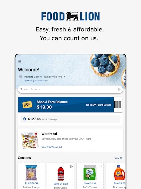 Food Lion screenshot