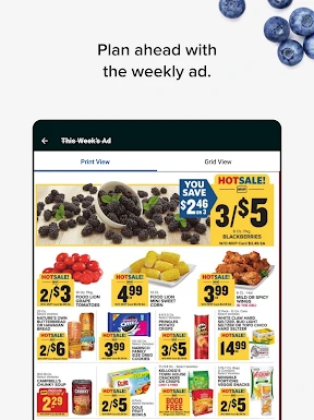 Food Lion screenshot