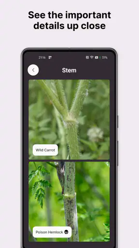 Gather: The Foraging App screenshot