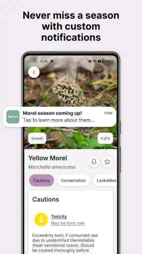 Gather: The Foraging App screenshot