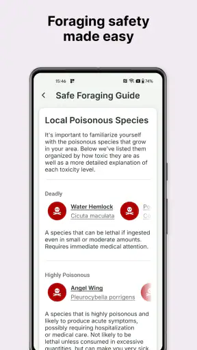 Gather: The Foraging App screenshot