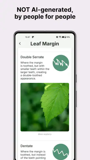 Gather: The Foraging App screenshot