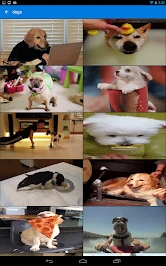 GIF Keyboard by Tenor screenshot