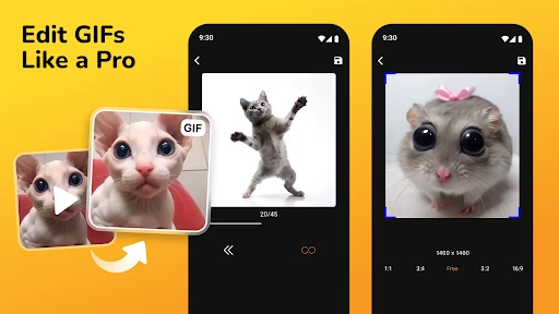 GIF Maker, Video to GIF Editor screenshot