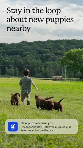 Good Dog: Find Your Puppy screenshot