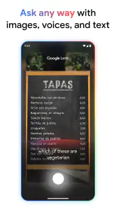 Google screenshot