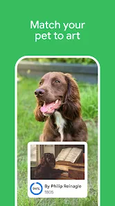 Google Arts & Culture screenshot