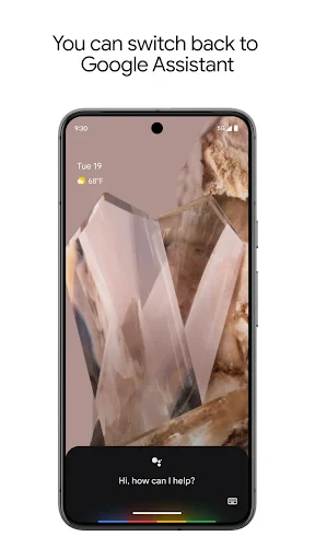 Google Assistant screenshot