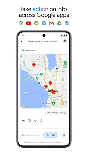 Google Gemini screenshot
