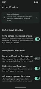 Google Pixel Watch screenshot