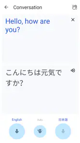 Google Translate screenshot