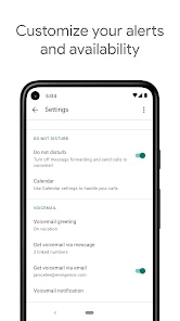 Google Voice screenshot