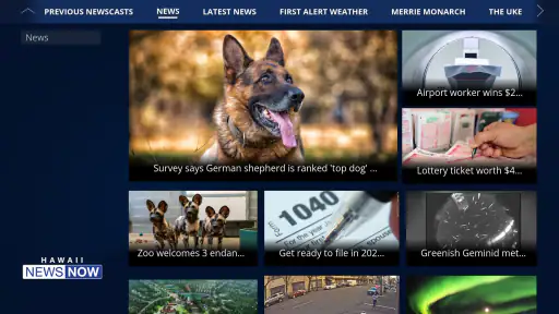 Hawaii News Now screenshot