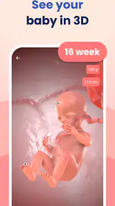 HiMommy: Ovulation & Pregnancy screenshot
