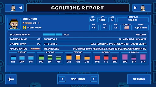 Hoop Land screenshot