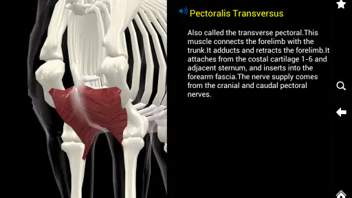 Horse Anatomy: Equine 3D screenshot