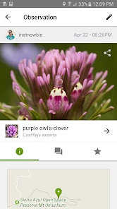 iNaturalist screenshot