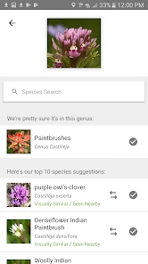 iNaturalist screenshot
